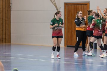 Bild 180 - F HSG Kremperheide/Muensterdorf - HSG Holstein Kiel/Kronshagen : Ergebnis: 31:26
